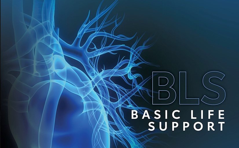 Basic Life Support (BLS) Instructor-Led Training