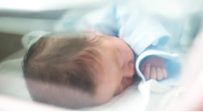 2025 Newborn Fellowship
