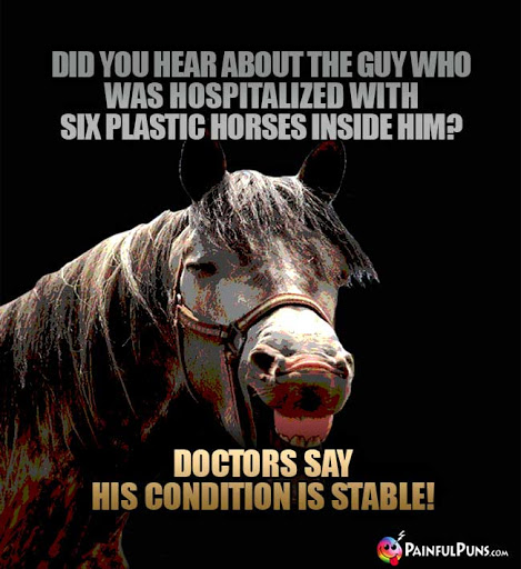 stable