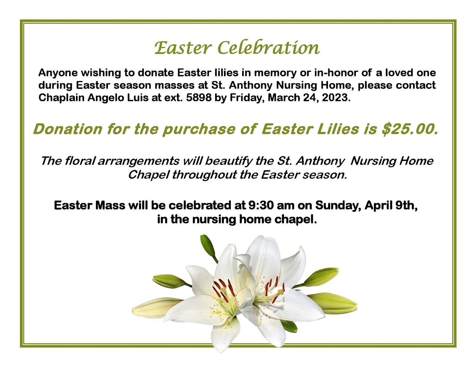Easter Lilies
