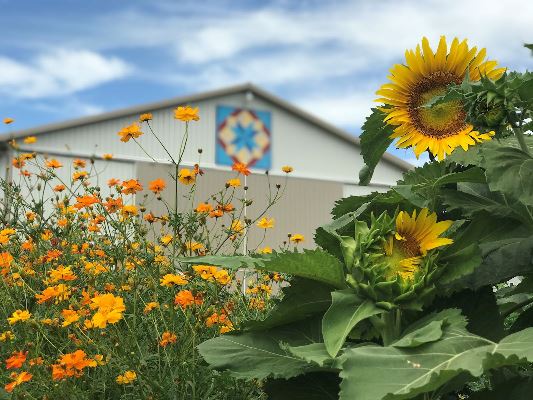 July Photo