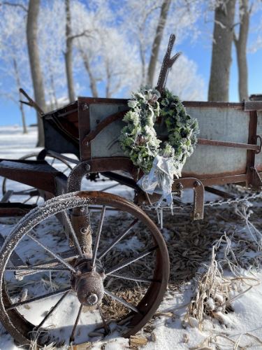 Winter Beauty